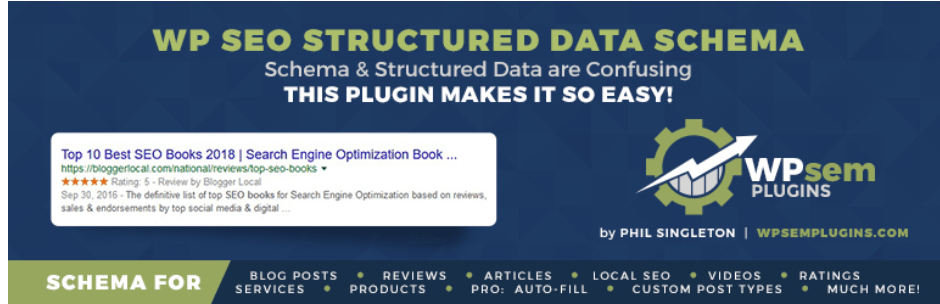 WP SEO Structured Data LogoSchema